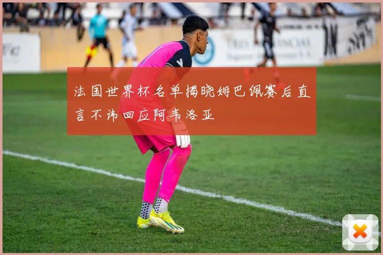法国世界杯名单揭晓姆巴佩赛后直言不讳回应阿韦洛亚