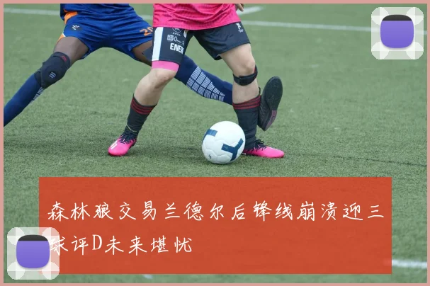 森林狼交易兰德尔后锋线崩溃迎三球评D未来堪忧