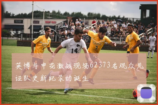 英博与申花激战现场62373名观众见证队史新纪录的诞生